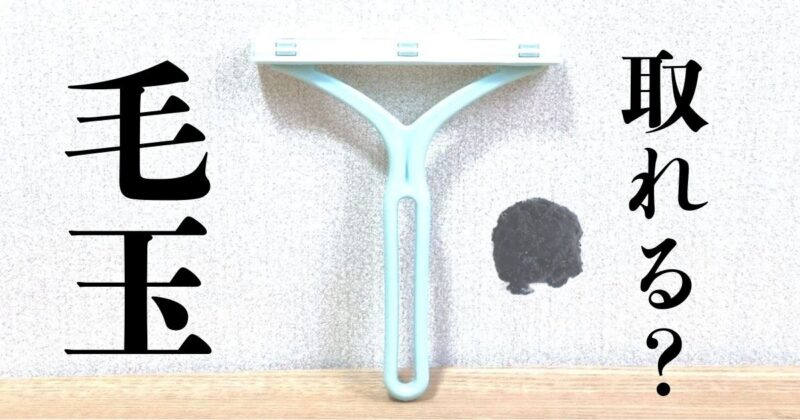 毛玉取りブラシ アイキャッチ画像 | タメレポ